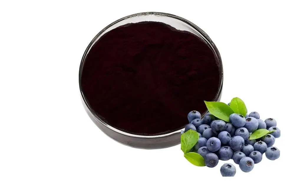 Vaccinium myrtillus extract powder Vaccinium myrtillus extract powder