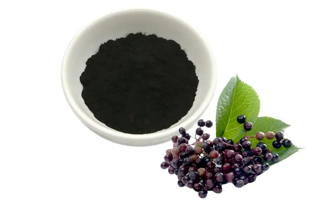 Elderberry Extract Powder Elderberry Extract Powder