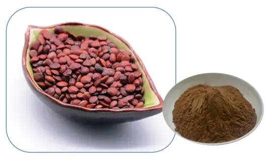 Jujuba Seed Extract Powder Jujuba Seed Extract Powder