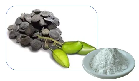 5-Hydroxytryptophan Powder