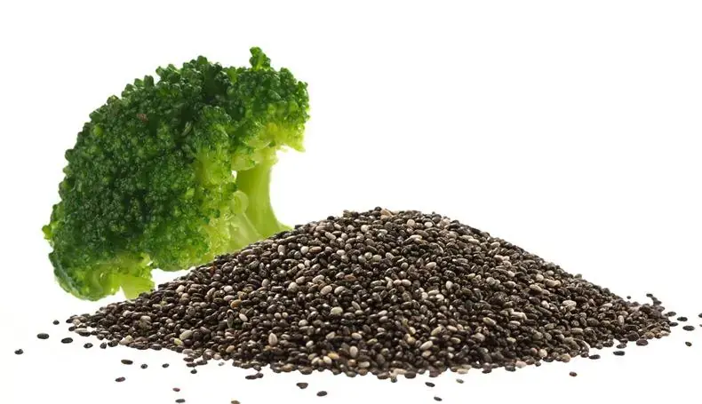 Sulforaphane Powder Bulk