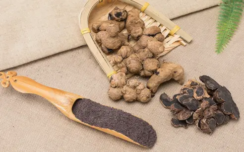 Black Ginger Extract Powder