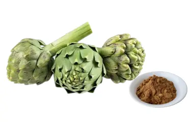 Artichoke Cynarin Powder