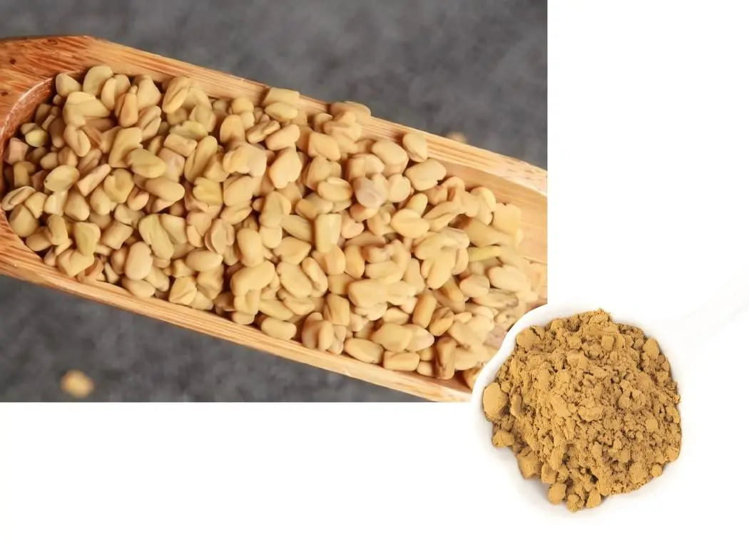 Common Fenugreek Seed Powder Common Fenugreek Seed Powder