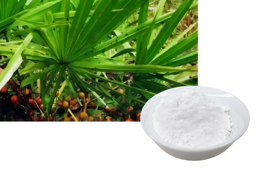 Saw Palmetto Fruit Powder