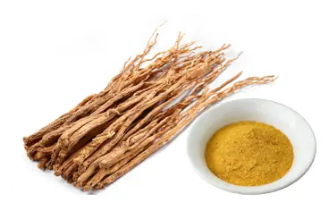 Danshen extract powder Danshen extract powder
