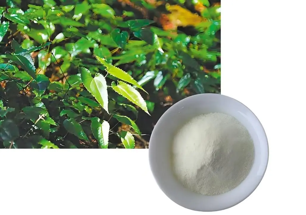 Epimedium Extract Powder Epimedium Extract Powder
