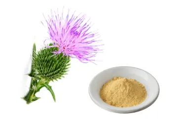 bulk milk thistle powder bulk milk thistle powder