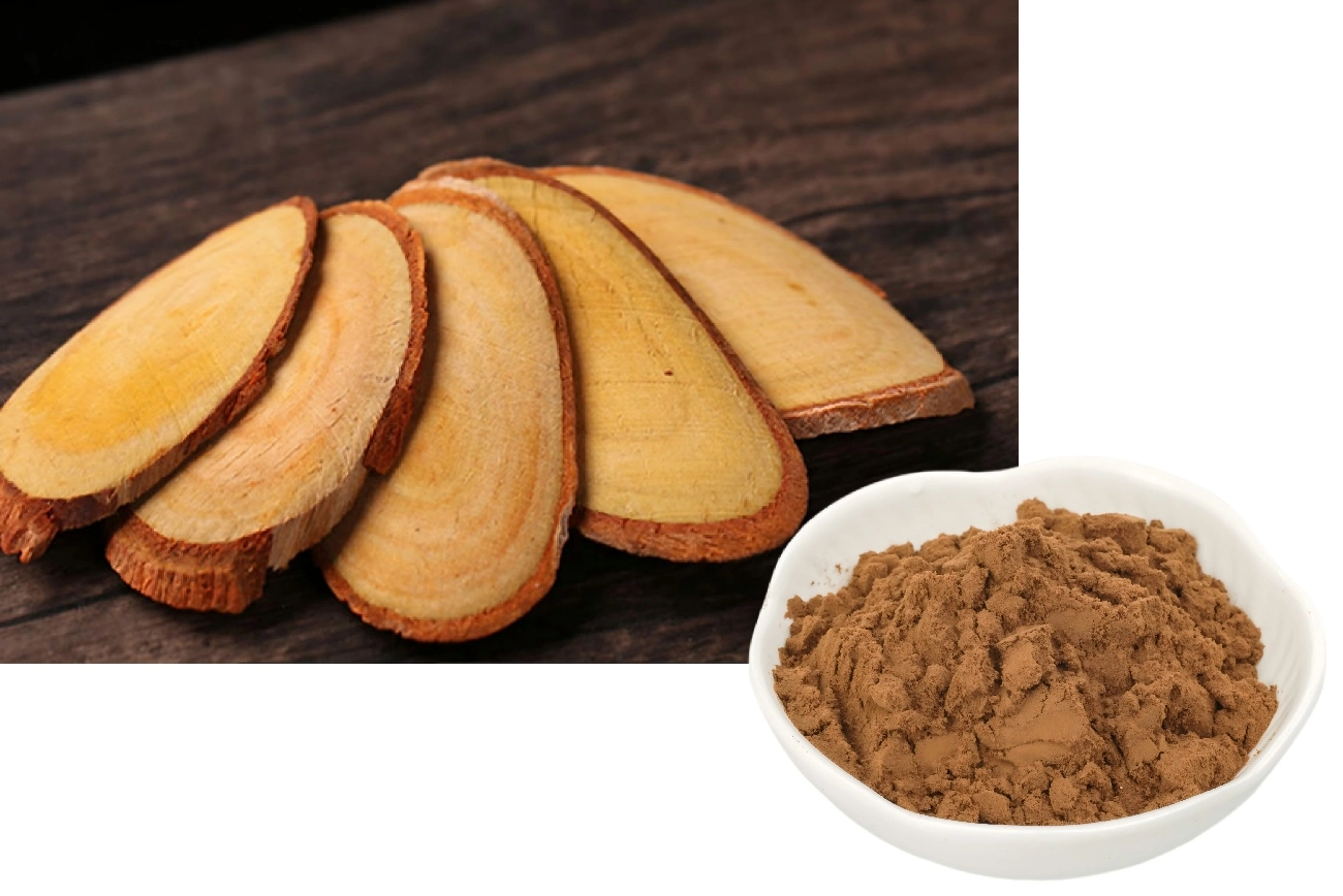 Tongkat Ali Extract Powder 