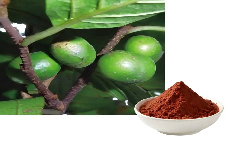 Pygeum Africanum Extract Powder Pygeum Africanum Extract Powder