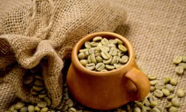 Best Green Coffee Bean Extract Powder Best Green Coffee Bean Extract Powder