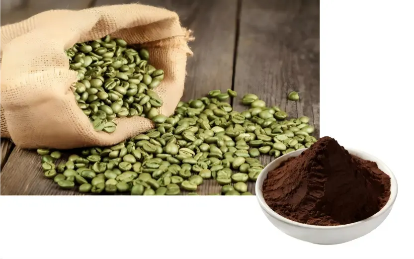 Green Coffee Bean Extract Powder Bulk