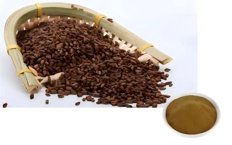 Cassia Seed Extract Powder