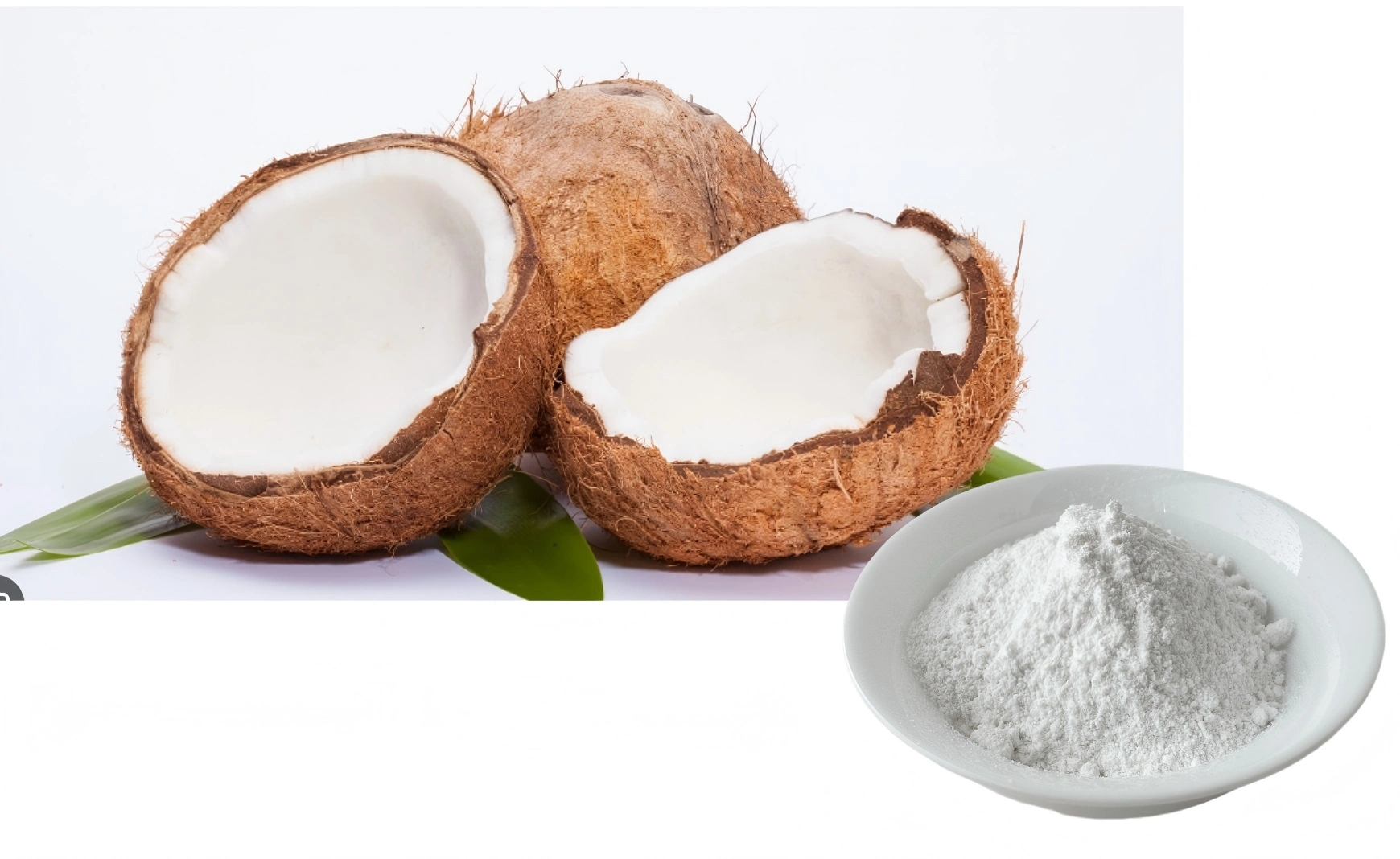 MCT Coconut Oil Powder