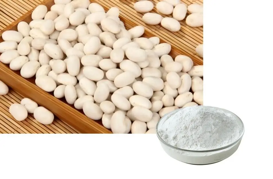 White Kidney Bean Extract Powder White Kidney Bean Extract Powder