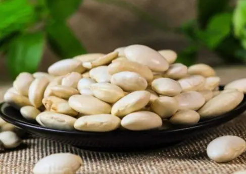 White kidney bean extract powder 