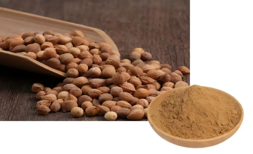 Semen Pruni Extract Powder