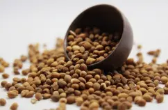 Semen Pruni Extract Powder