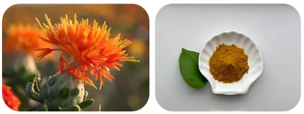 Safflower Yellow Powder Safflower Yellow Powder