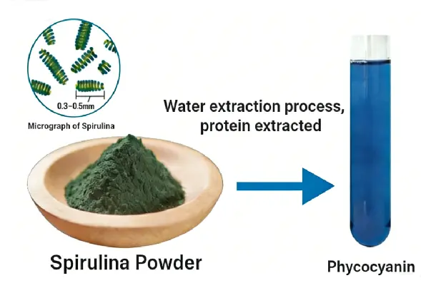 Blue Spirulina Phycocyanin