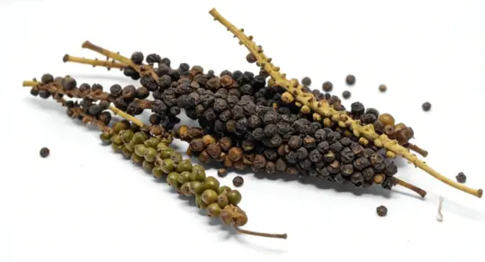 Aframomum melegueta extract powder