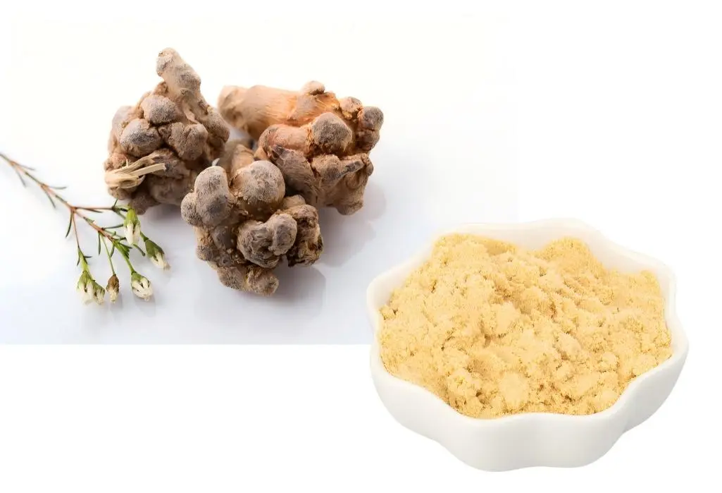 Panax Notoginseng Root Extract 