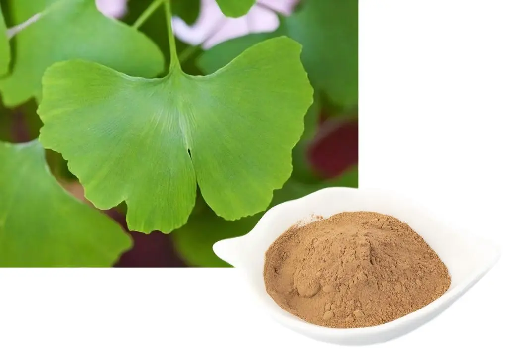 Ginkgo Flavone Glycosides Powder