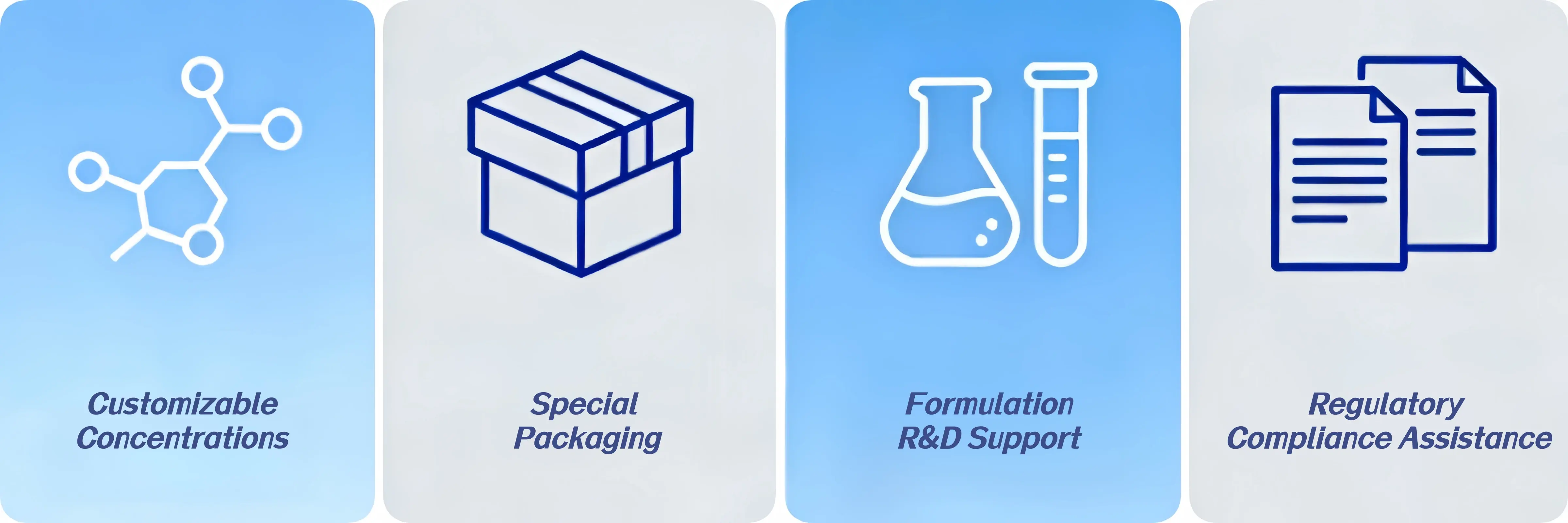 Customization Services