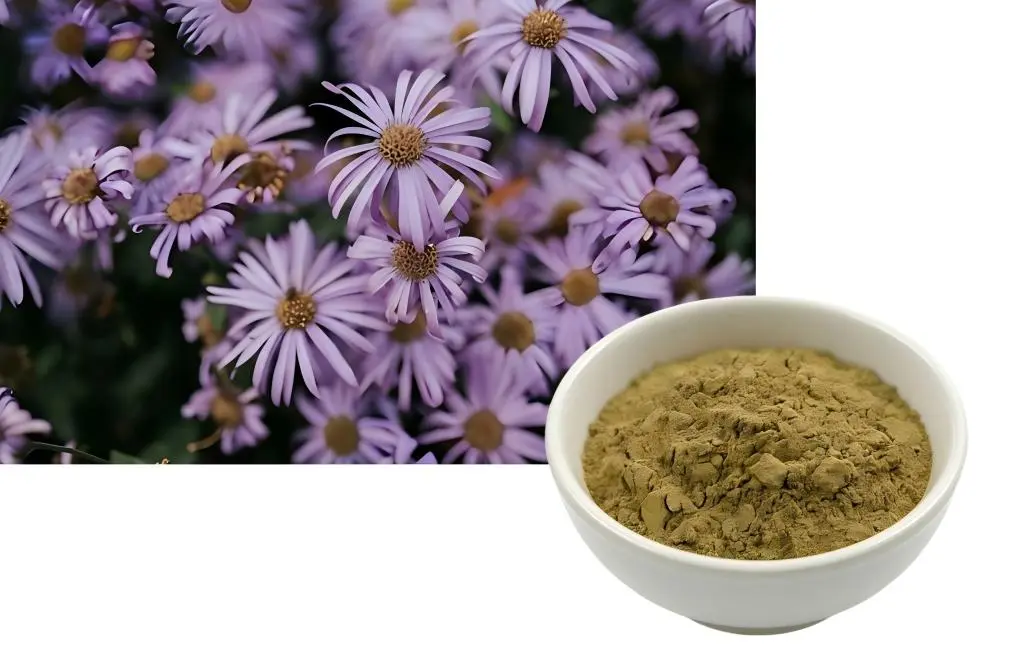 Echinacea extract powder