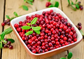 Lingonberry Extract