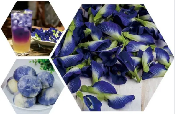  Matcha Butterfly Pea Flower powder