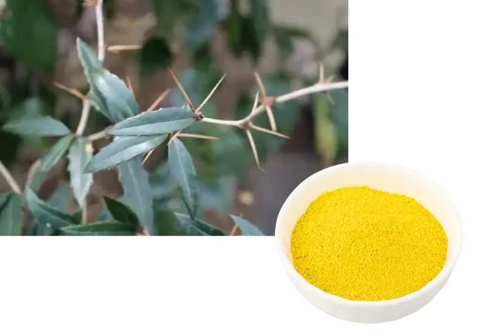 Barberry Extract Granules Barberry Extract Granules