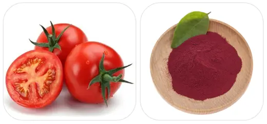 Lycopene 10 Powder