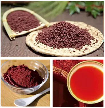 Monascus Red Powder 
