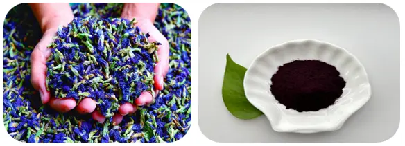 Blue Matcha Butterfly Pea Flower Powder Blue Matcha Butterfly Pea Flower Powder