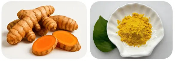 Curcumin 95 Natural Turmeric Extract Powder 