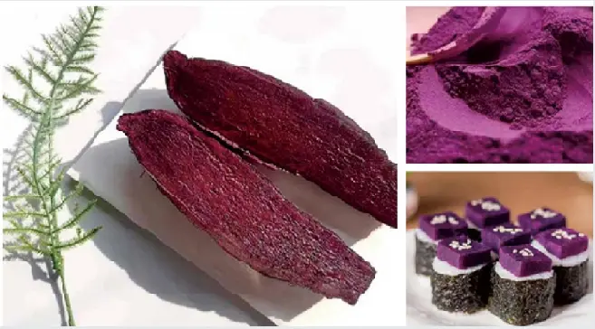 Sweet Potato Purple Powder