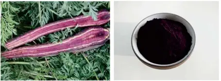 Natural Purple Carrot Powder Natural Purple Carrot Powder