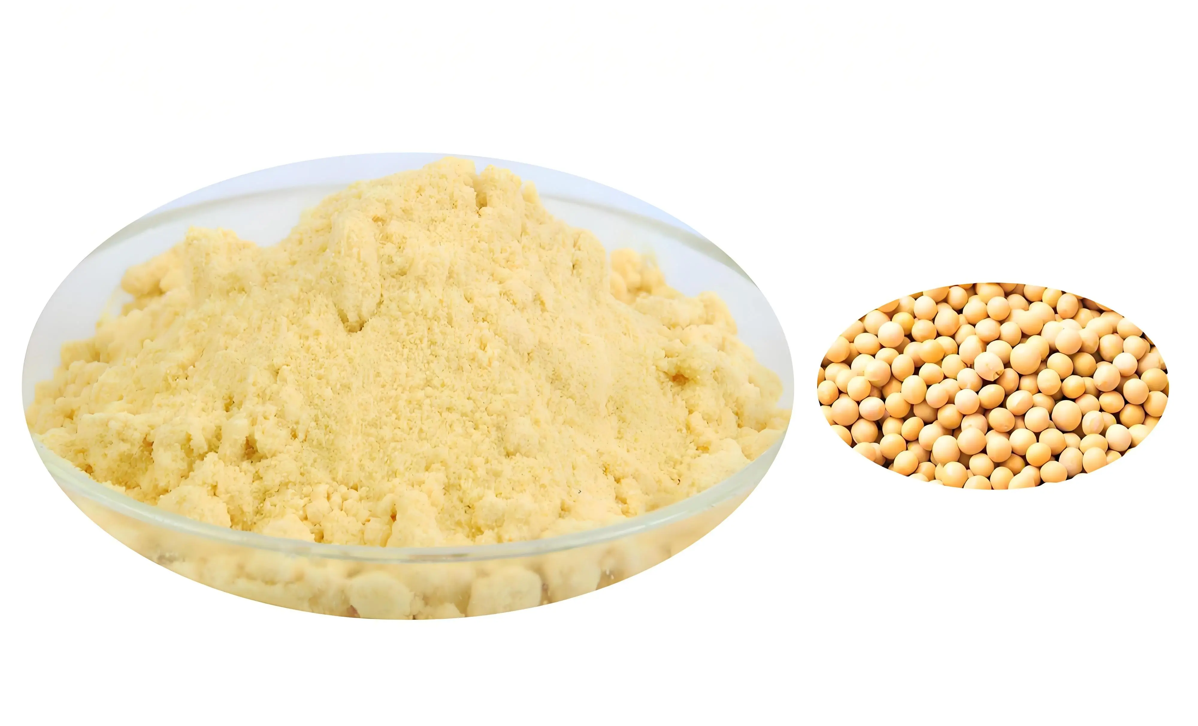 Phosphatidylcholine Bulk Powder Phosphatidylcholine Bulk Powder