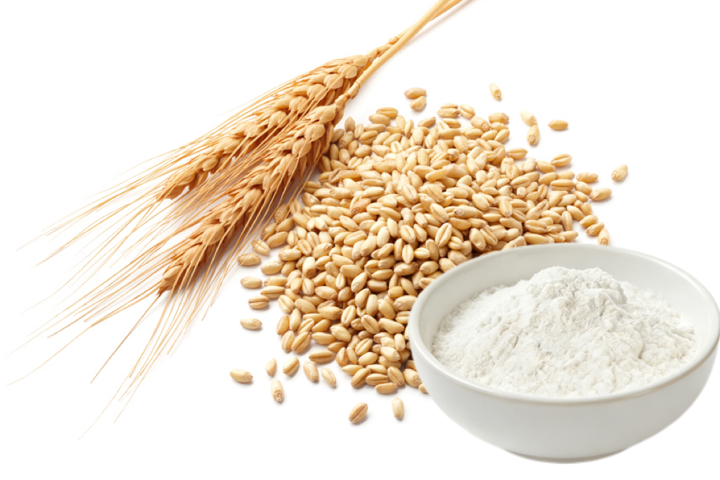 Pure Spermidine Powder