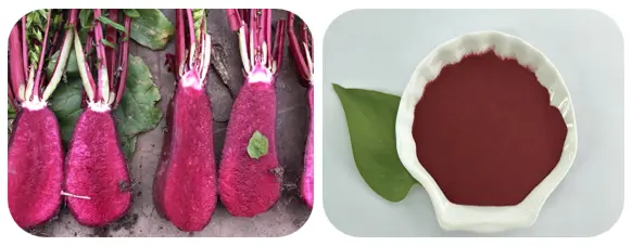 Red Radish Powder 