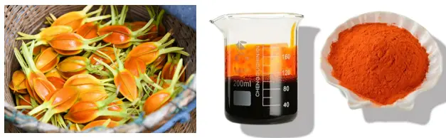 Gardenia Yellow Color Powder