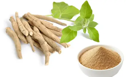 blog-1-1