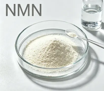 product-1-1