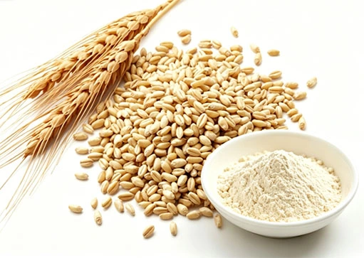 Spermidine Spermidine