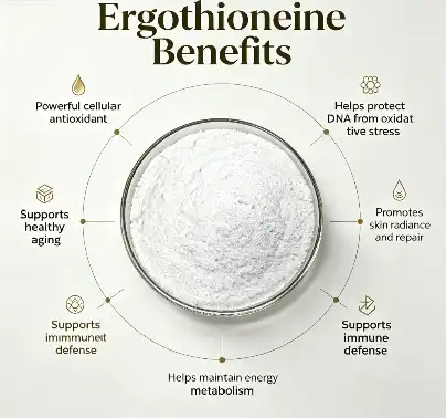 Ergothioneine Ergothioneine