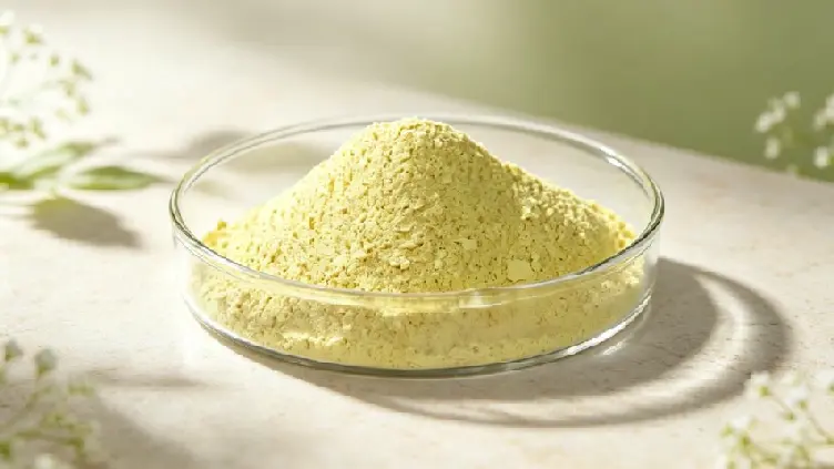 Quercetin dihydrate powder Quercetin dihydrate powder