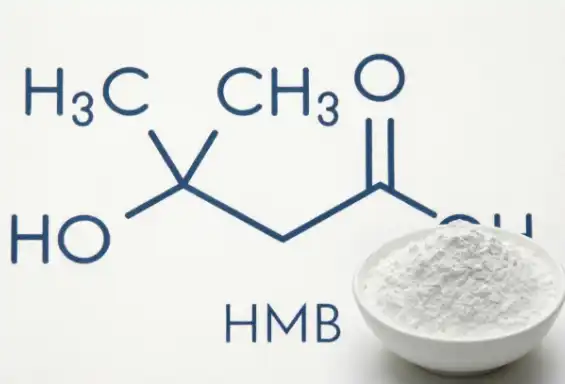 HMB Powder HMB Powder