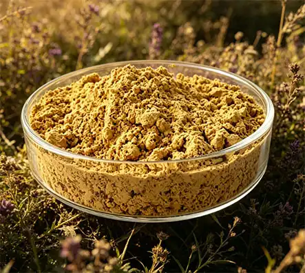 Silymarin Powder