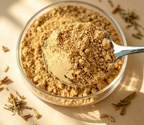 Silymarin Powder